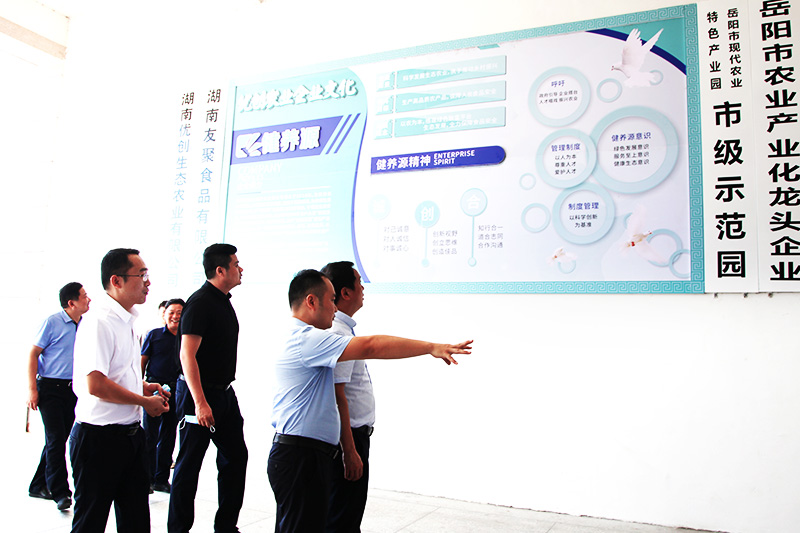 县长吴光文来公司调研