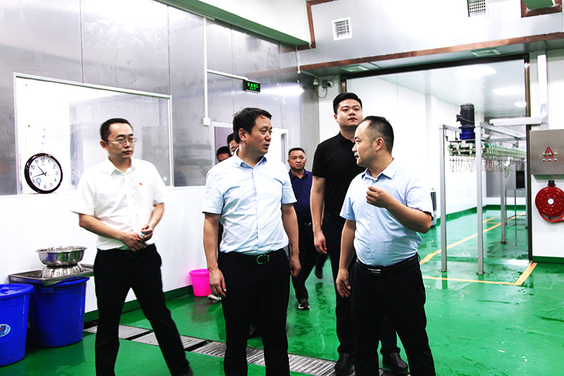 县长吴光文来公司调研