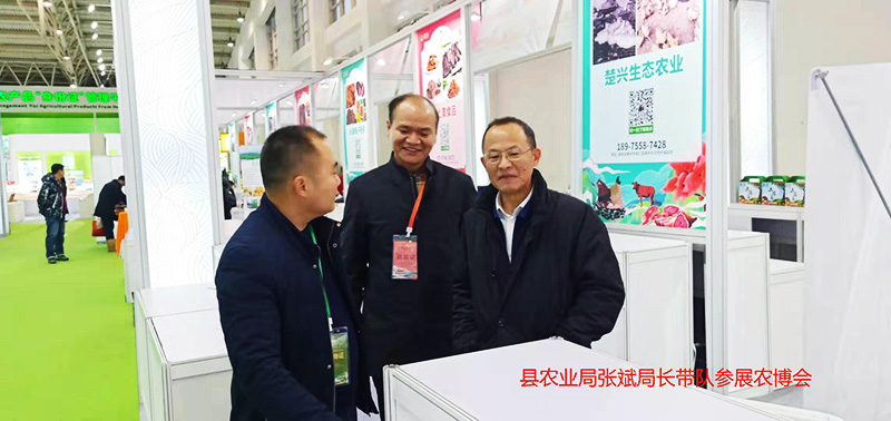 优创生态参加深圳市农产品展销会