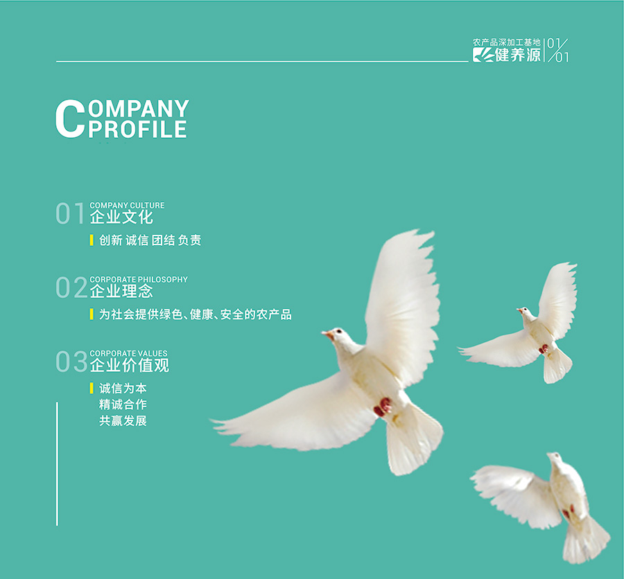企业文化