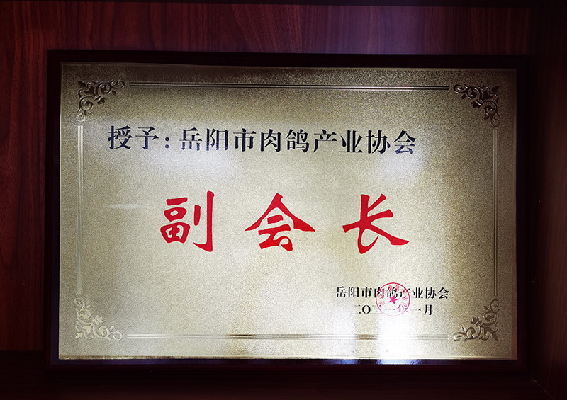岳阳市肉鸽产业协会副会长单位