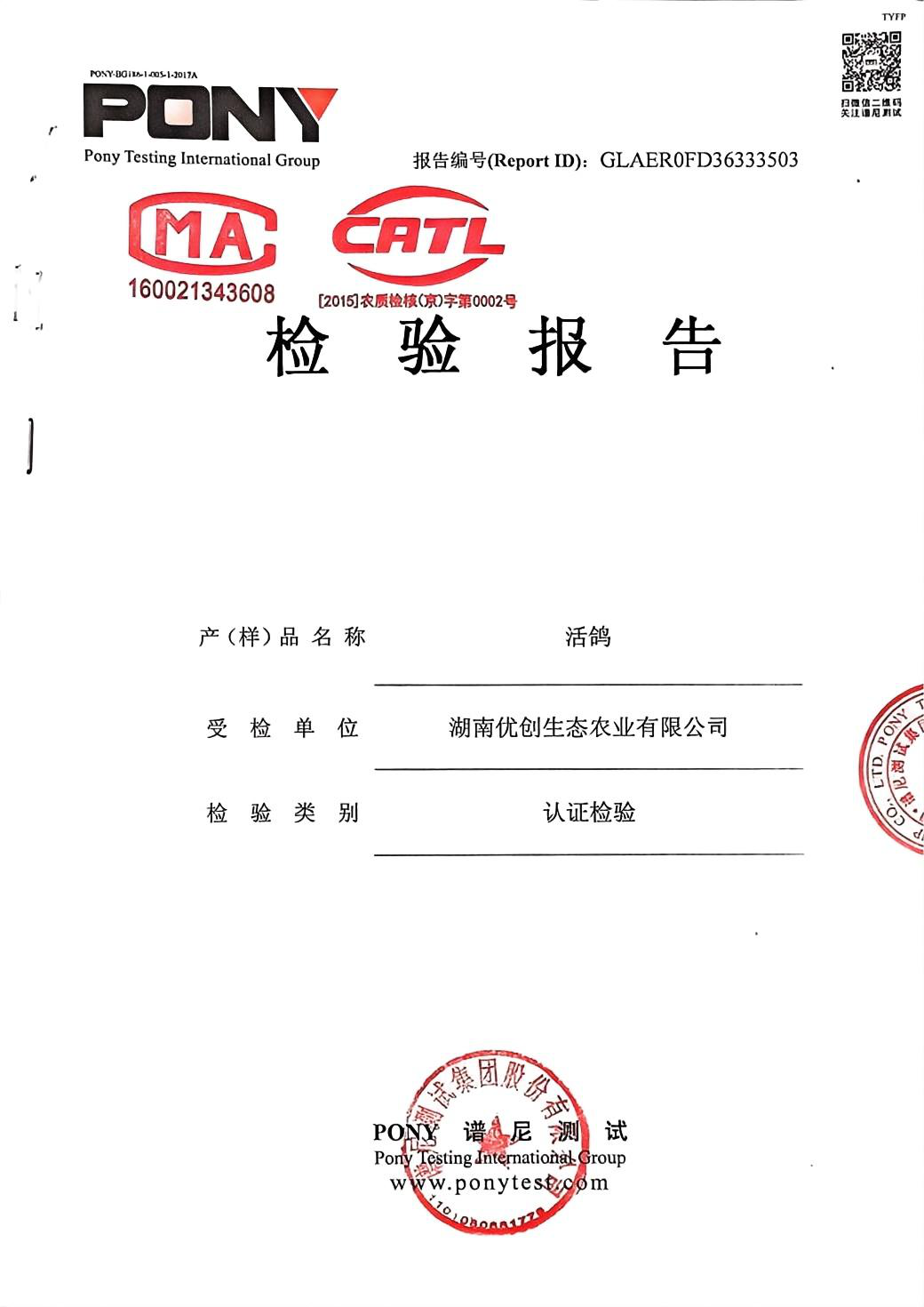 检验报告