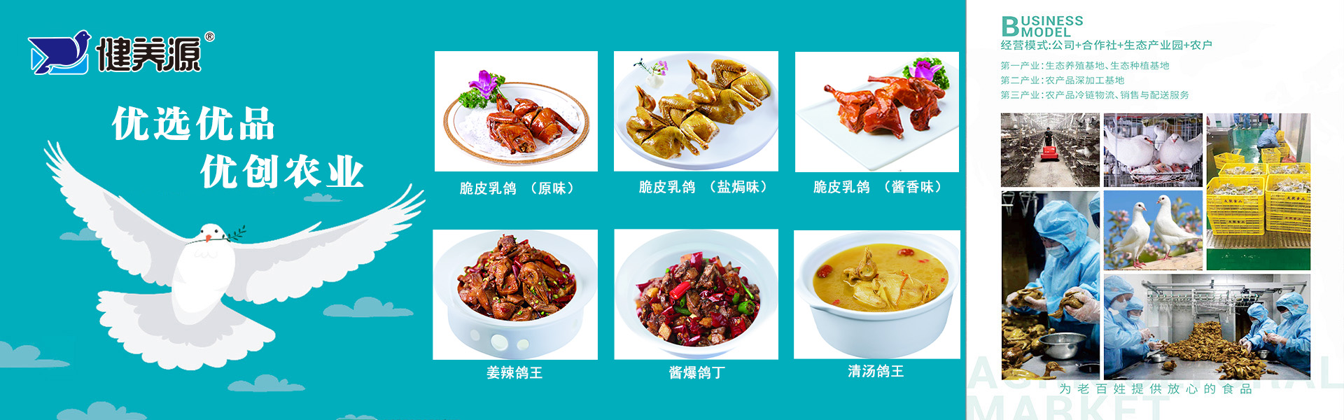 岳阳王鸽